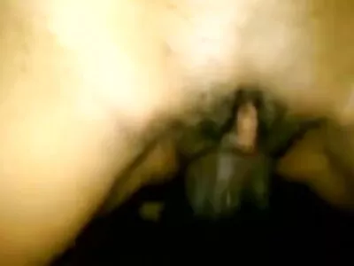 பீனிக்ஸ் மேரி டிக் மீது கழுதை குலுக்கல்!