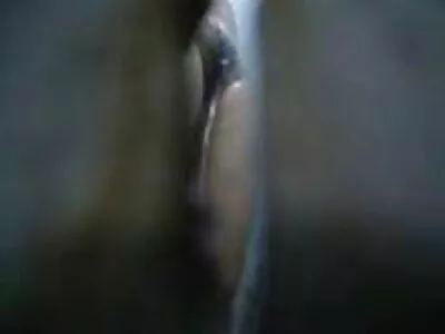 சாமி ப்ரூக்ஸ் & டேன் கிராஸ் ஒரு கூகர் மூலம் மயக்கமடைந்தார்