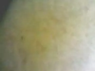 புக்கிங் விடுமுறையில்! வீடியோ (தான்யா டேட்)