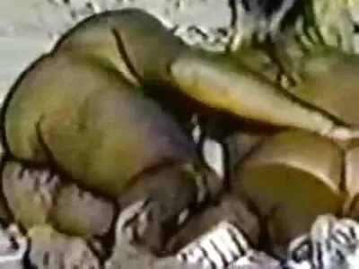 மாட்டுக்கொலை வீடியோ (ஜாஸி பெர்லின்)